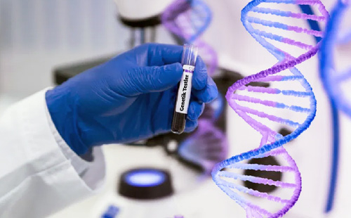 Akraba Evliliğinde Yapılması Gereken Testler (Hangi Hastalıklar Görülür?)